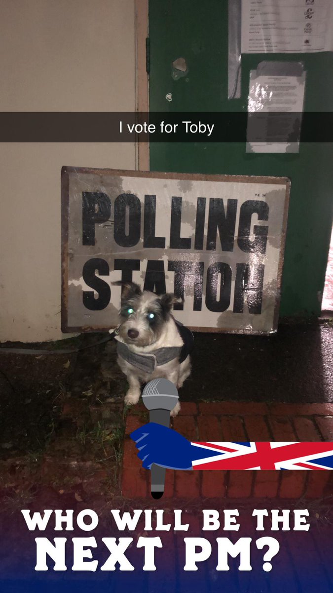 TobyOneKenobi1's tweet photo. More treats,  more zombie pawtrols 🐾 moreball chasin and more cuddles . Vote for Toby #DogsAtPollingStation #DogsInPollingStations #DogsofTwittter #dogs https://t.co/1gSFpfoehC
