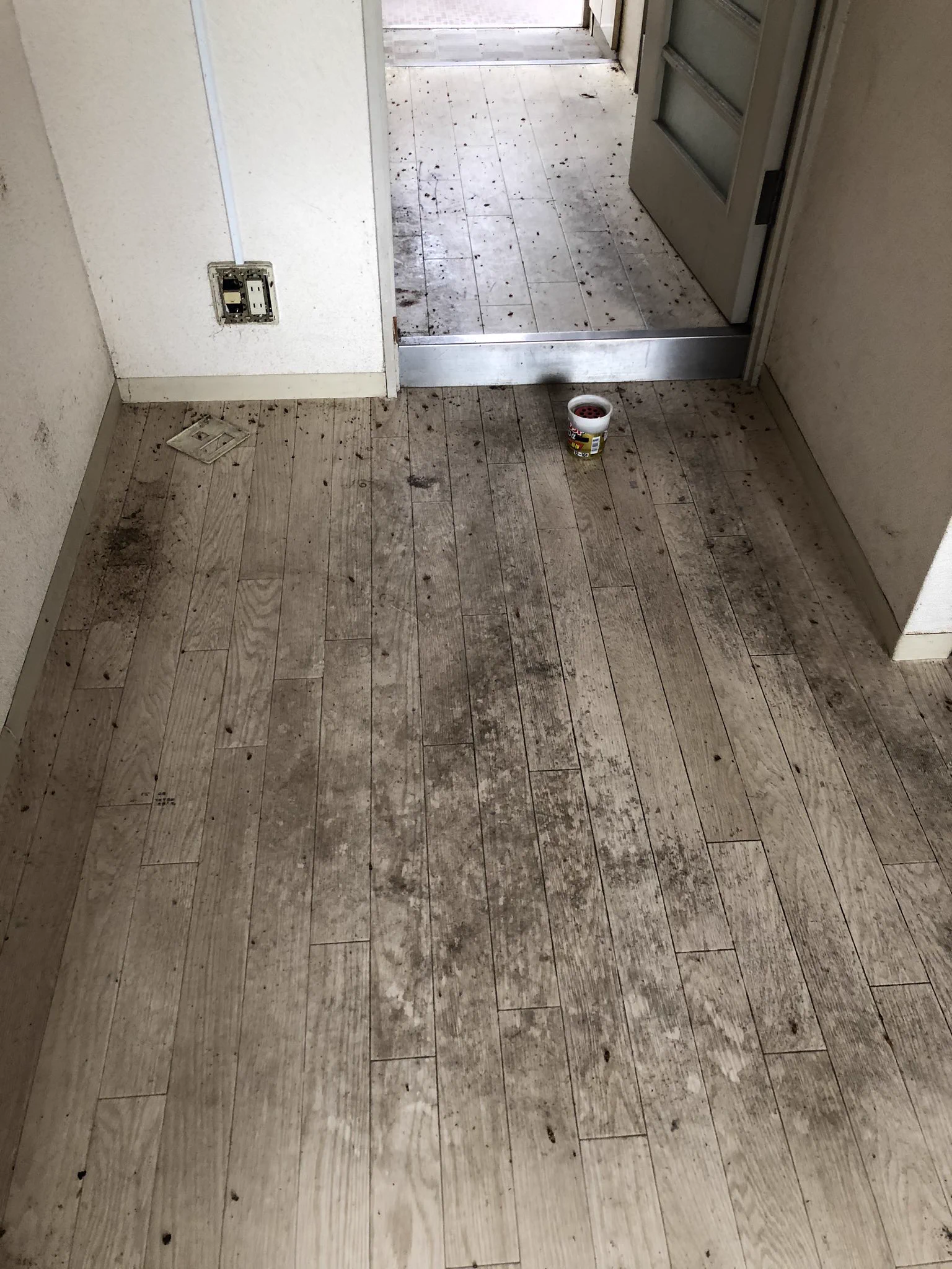 外国人留学生の退去後の部屋の様子がひどすぎるｗｗｗｗ