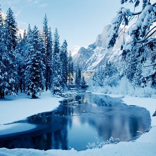 americanrivers's tweet photo. To be whole. To be complete. Wildness reminds us what it means to be human, what we are connected to rather than what we are separate from. ⠀
⠀
— Terry Tempest Williams⠀
⠀
#yosemite #CA #California #rivers #naturephotography #explore #winter #winterp… https://t.co/tmOMuwvb0k https://t.co/EYsGzxZvMu