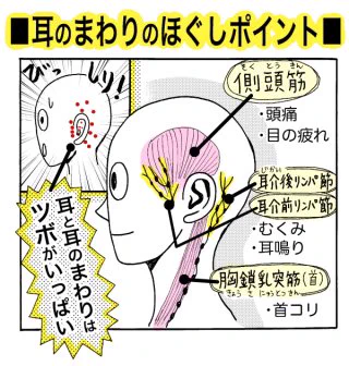 とにかく耳をまわしてみて！これだけで顔の浮腫だいぶマシになるから。