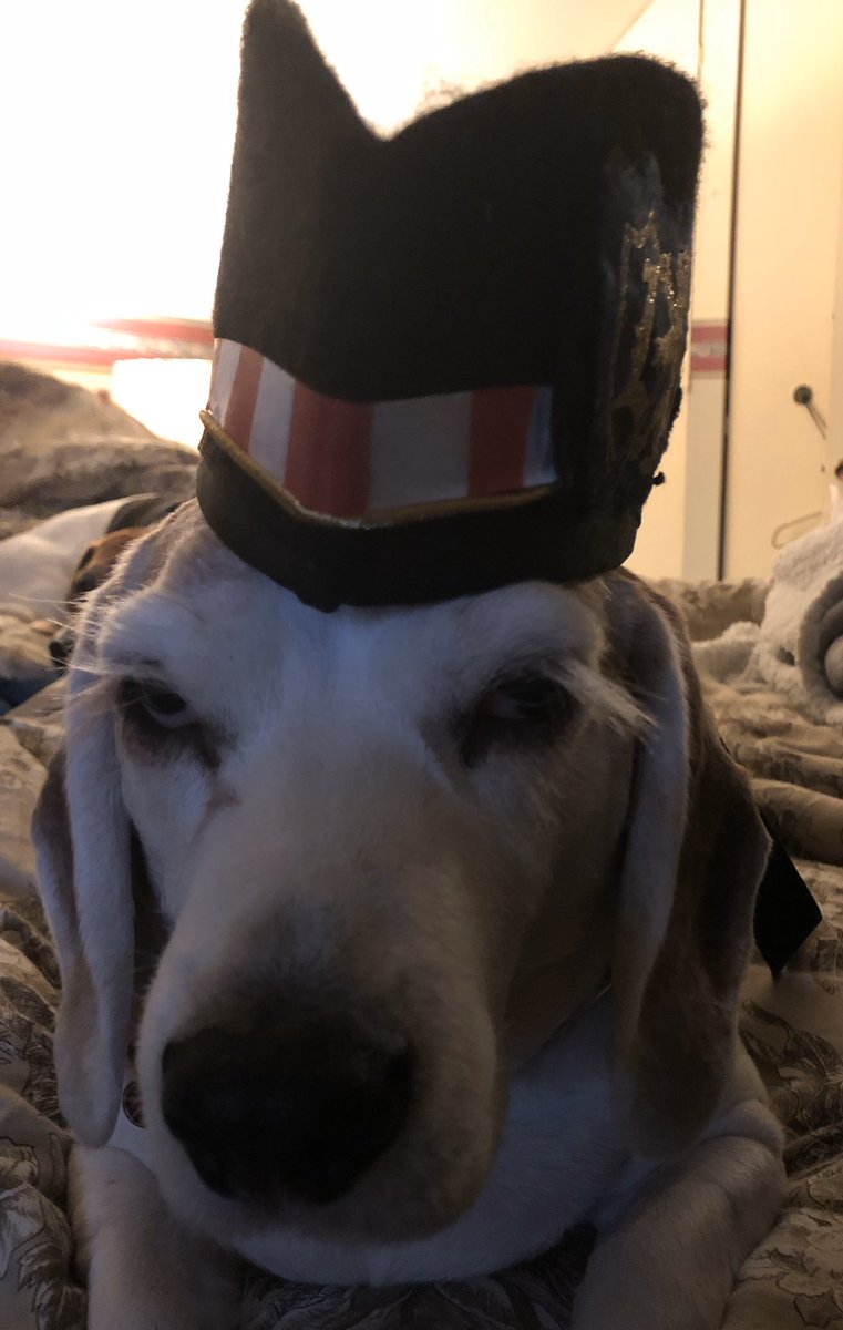 darth_jeffR's tweet image. JuneBug is not pleased about the Lodge's current state. As the current mascot, June must be kept in good spirits. Someone #SaveLodge49 before he bites me. 

#LongLiveLodge49