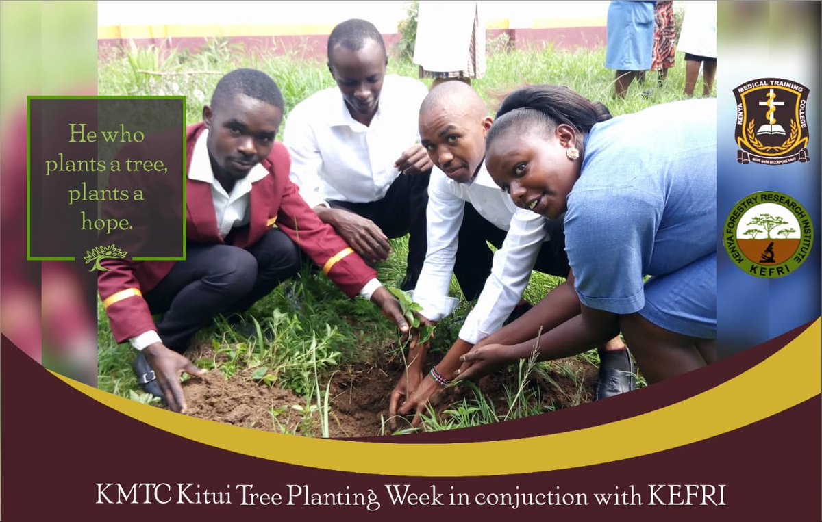EverlynNyamai's tweet photo. #kmtcofficial students from KMTC Kitui Campus very joyful as they plant trees to conserve nature and they say when you plant a tree you plant life. 600 tree seedlings were planted KEFRI donated 300 while KFS gave us 300 seedlings. https://t.co/Z33IL54m2e