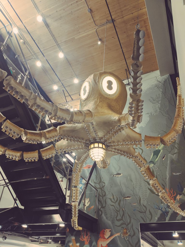 Giant octopus gets hired as bouncer at the new <a href="/PCC/">PCC Markets</a> Ballard!