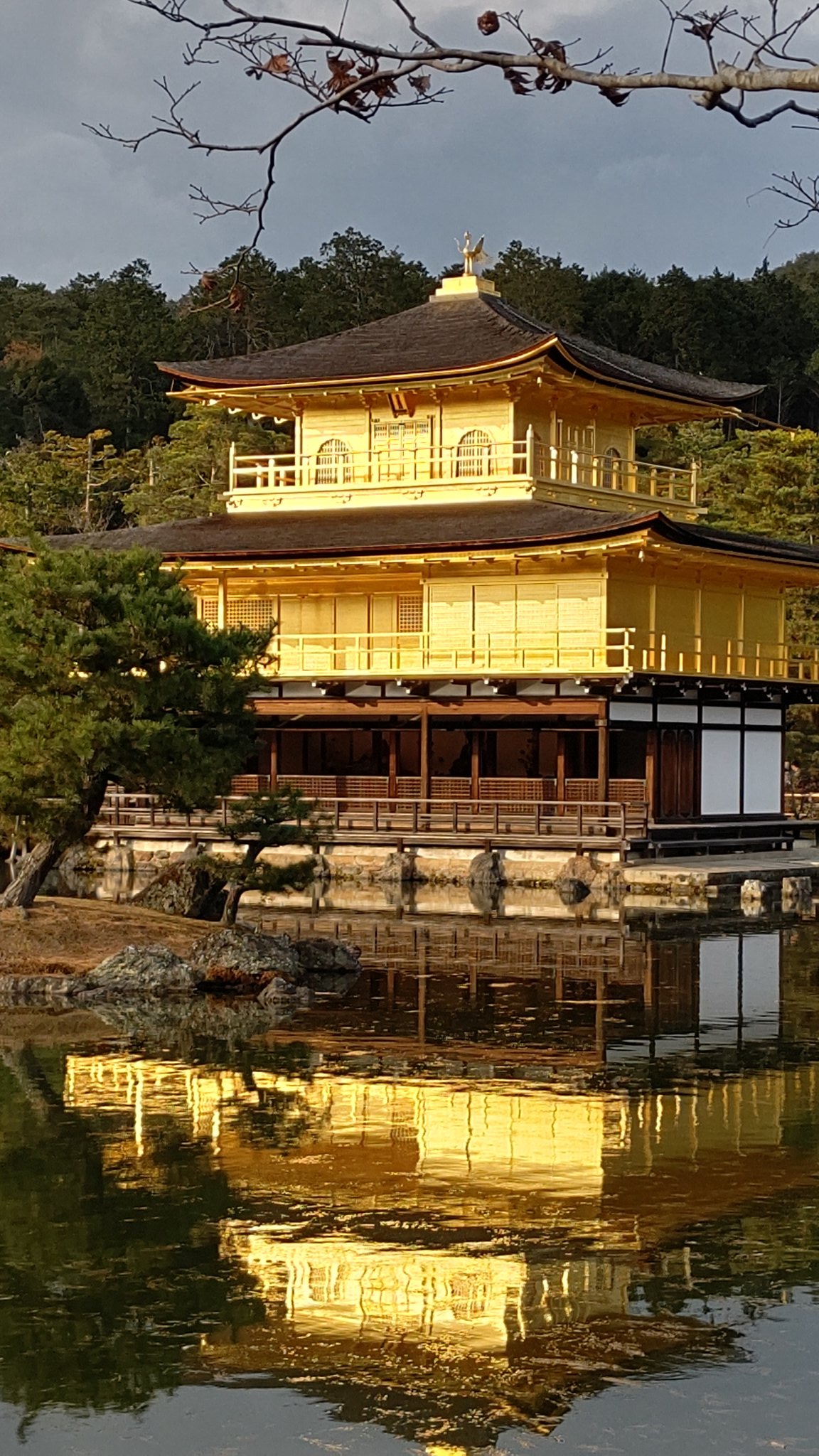 Tarako 今日は観光バスで京都の名所を4ヶ所廻りました 清水寺もまだ紅葉が美しく 天龍寺から 竹林の道も素敵 でも圧倒的に美しかったのは 夕陽に照らされて輝く金閣寺 息を飲む光景でした T Co N9tockiwla Twitter