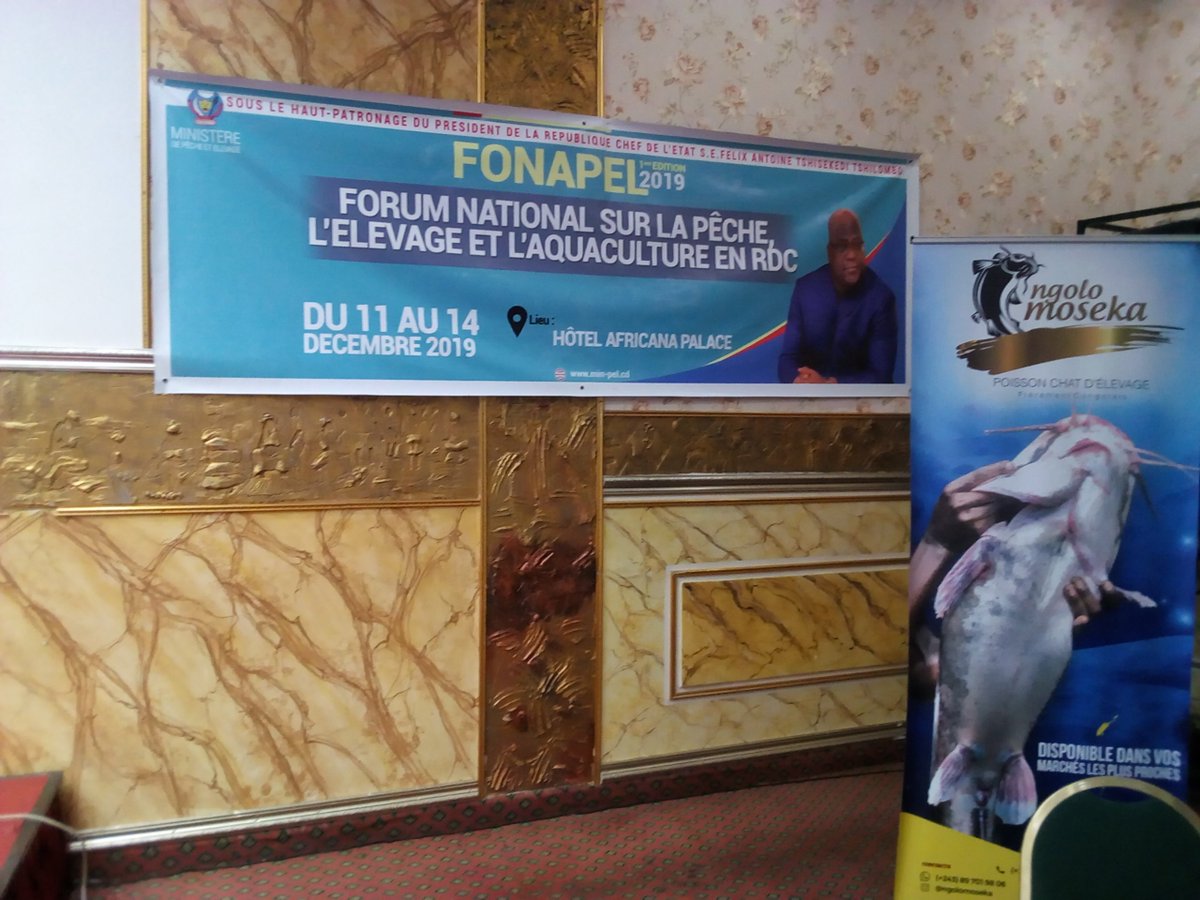 ElyseeMupa's tweet photo. #FONAPEL2019
Chaque chose a sa finalité ceci dit #today est la clôture du #Forum du #MINIPEL.Ne ratez pas dans peu de temps,la lecture des recommandations de differentes commissions en présence du #Ministre de la #Peche,#Elevage et #Aquacultute. @UEenRDC @YpardAfrica @CanadaRDC https://t.co/H7nSdcmlkO