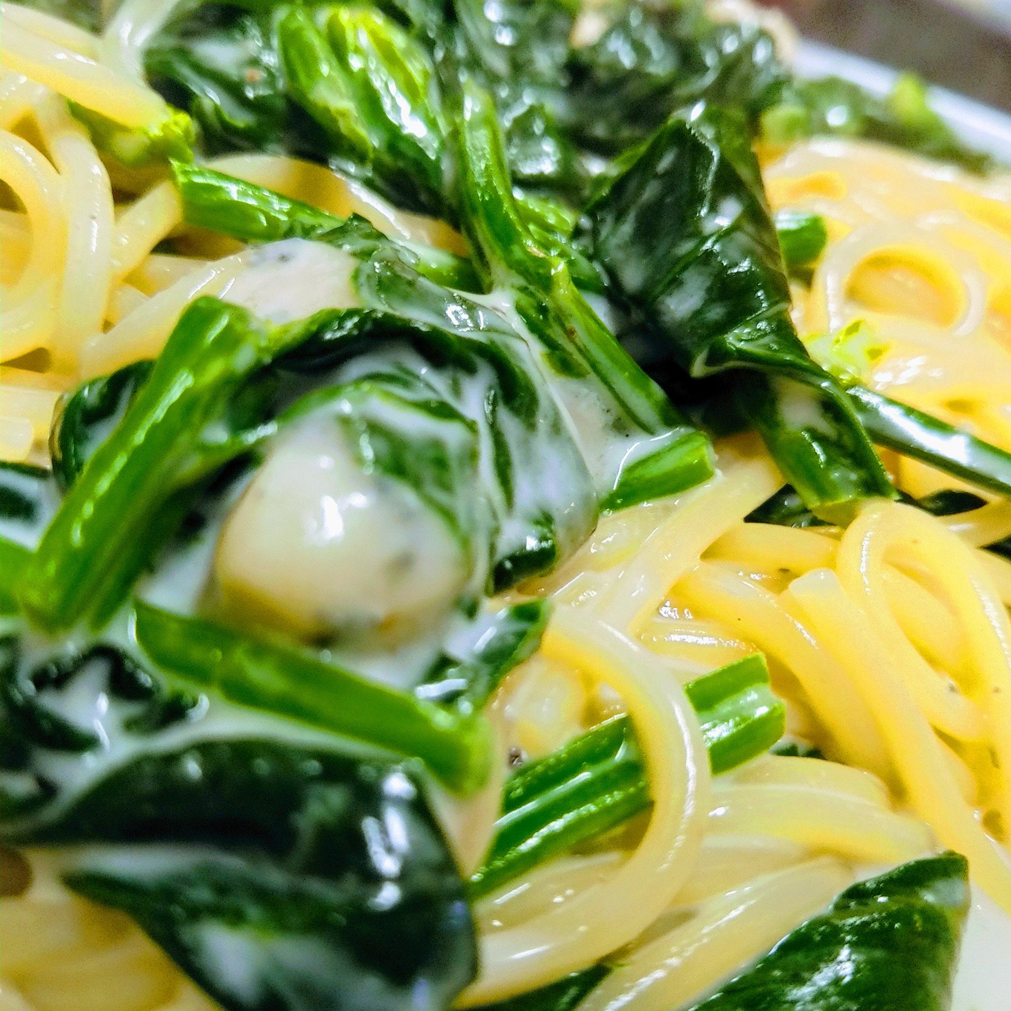 ট ইট র パンチャ ピエーナ どーも ボス パンチャです 今日の一皿 No 561 ほうれん草のゴルゴンゾーラクリーム 深谷はほうれん草もうめーのです