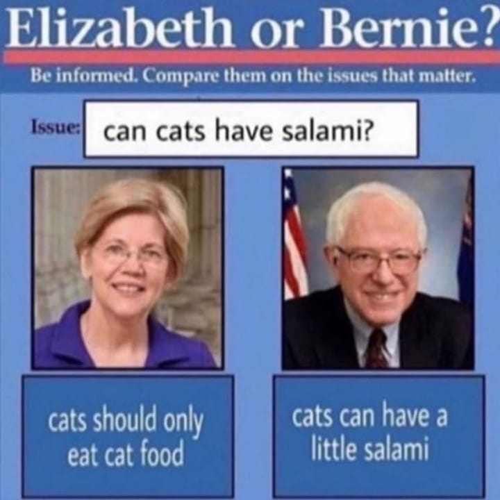 shroomboy102's tweet photo. #NotMeowUs https://t.co/lU43LKC6Cc