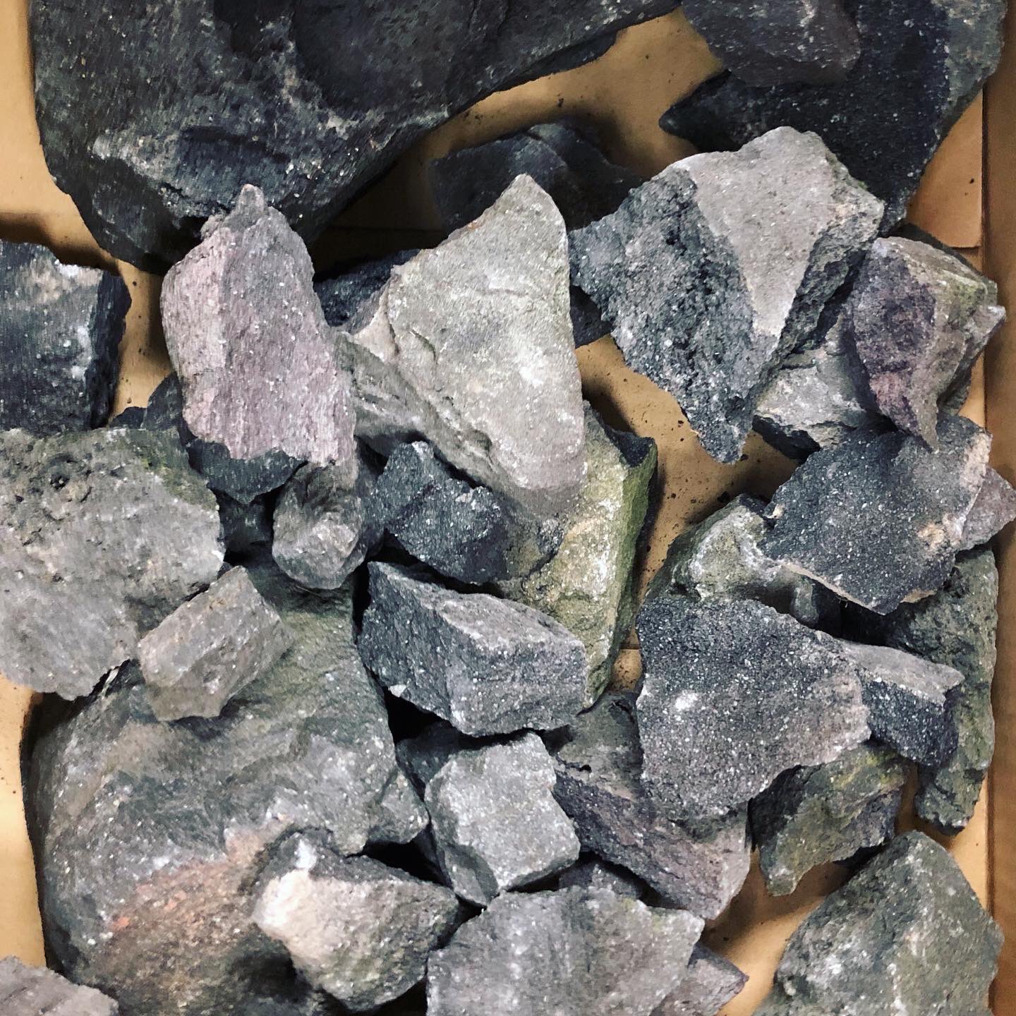 アクアテイク E アクアテイクイー 熱帯魚専門店 Adaの山水石が入荷しております 1枚目のものが特におすすめ 山水石 アクアテイクｅ アクアデザインアマノ ネイチャーアクアリウム 水草水槽 アクアリウム T Co 2mez60b0d1 Twitter