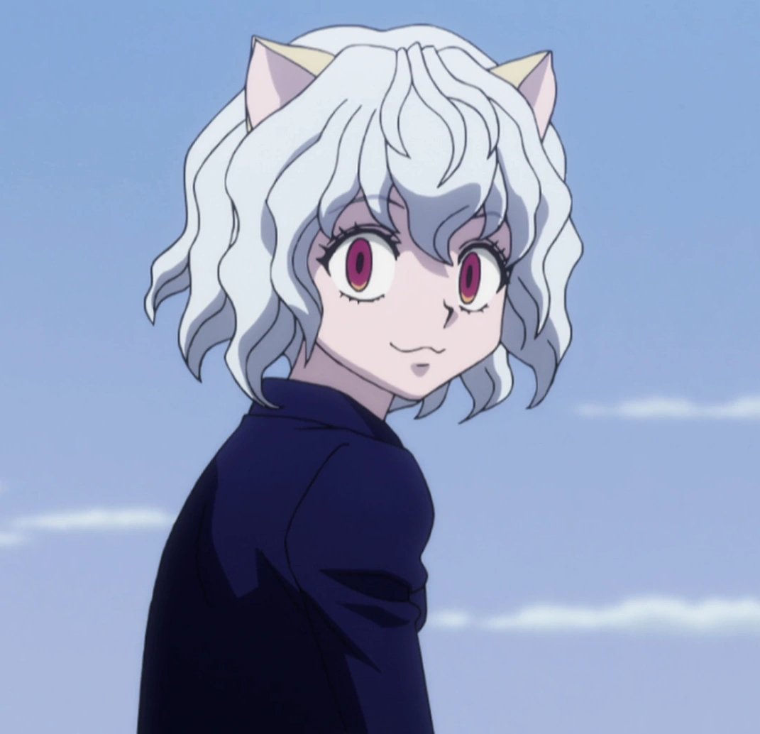 Pitou from Hunter x Hunter suggested by @ stellacastor Love a nonbinary feline.