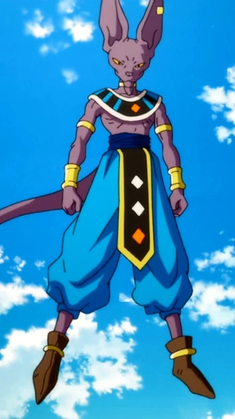 Beerus from Dragon Ball Z