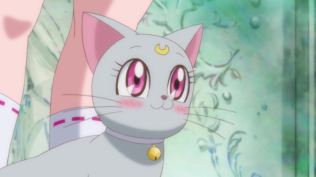 The rest of the Sailor Moon kitties too