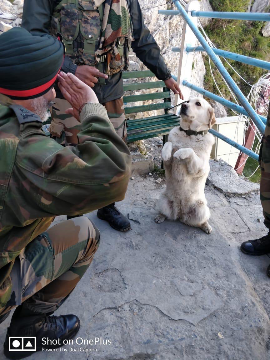 nee_el's tweet image. A picture tells a thousand stories ... On RVC Day, a salute and respect to the most trusted and  selfless buddy at all times. 
A rare pic and a rare gesture 👍🇮🇳 ⁦@ChinarcorpsIA⁩ ⁦@Tiny_Dhillon⁩ ⁦@NorthernComd_IA⁩ ⁦@adgpi⁩