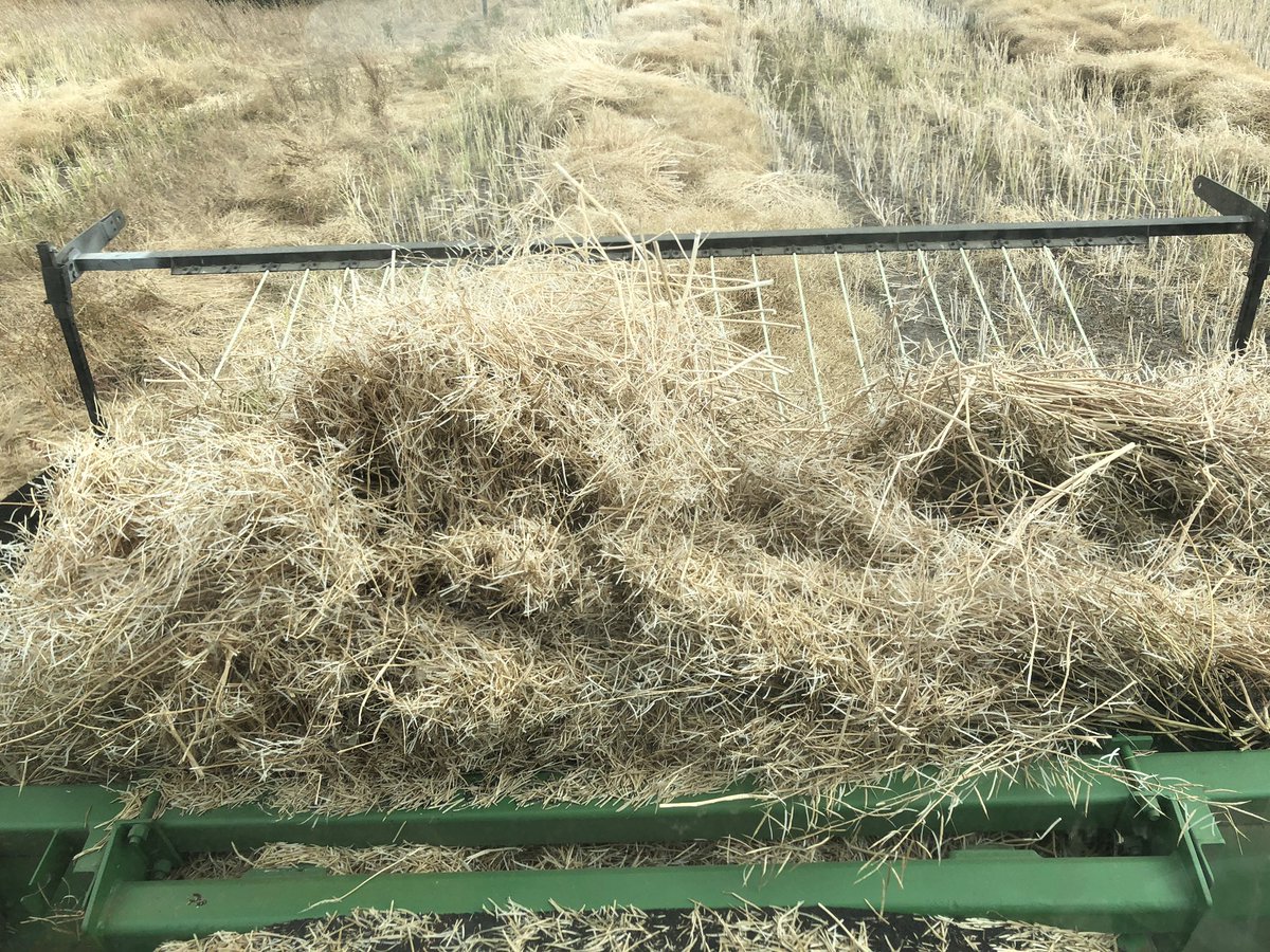 Allister Morris tweet media