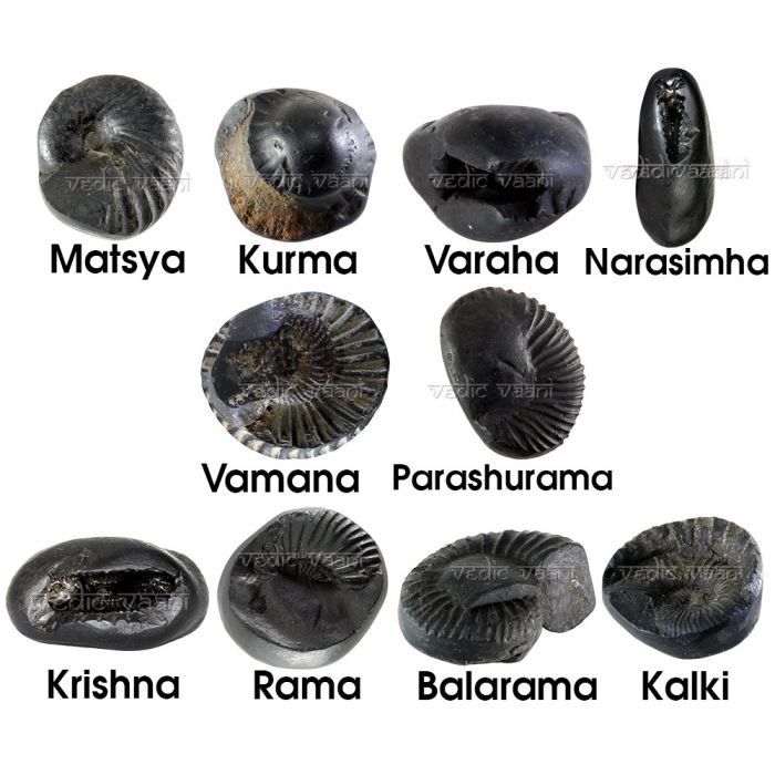 Salagrama stones, which are Ammonoid/mollusc fossils of the Devonian-Cretaceous period from 400-66 million years ago, are to be worshipped as Lord Vishnu himself, each representing an avatar of Vishnu. it is implied that they have organic origin but not sure if explicitly stated)