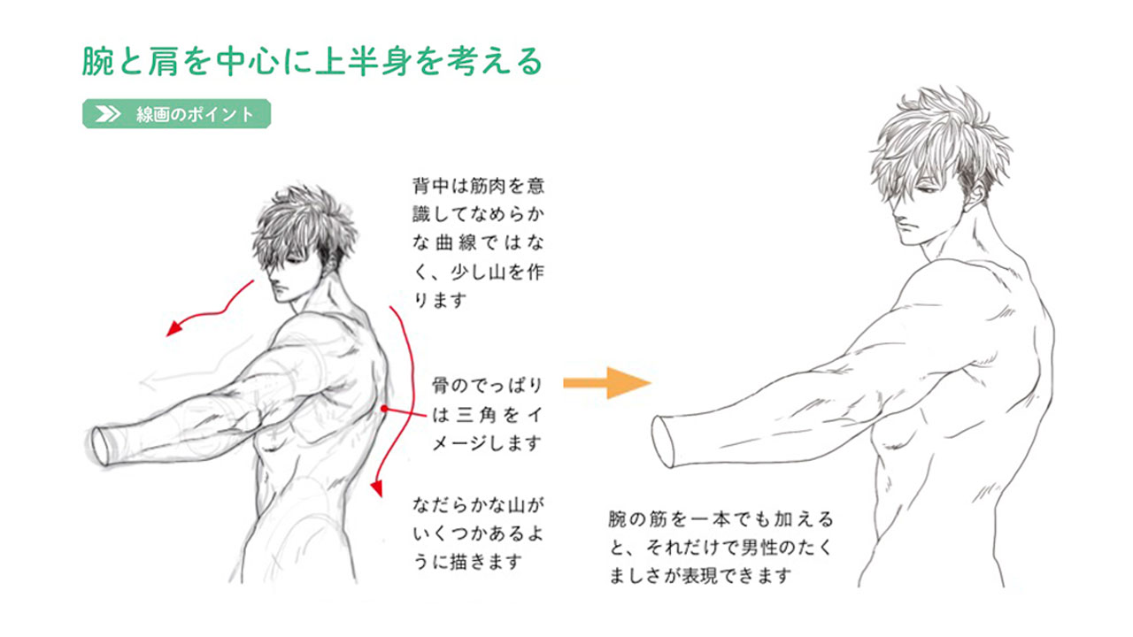 توییتر 玄光社 超描けるシリーズ در توییتر 超描ネタ帳 筋肉質な男性の背中の表現は 滑らかな曲線ではなく 筋肉で山を作るイメージ 腕の筋は一本加えるだけで たくましさが表現できますよ イラストはつよ丸さん Tsuyomaru1a キャラクターデッサン