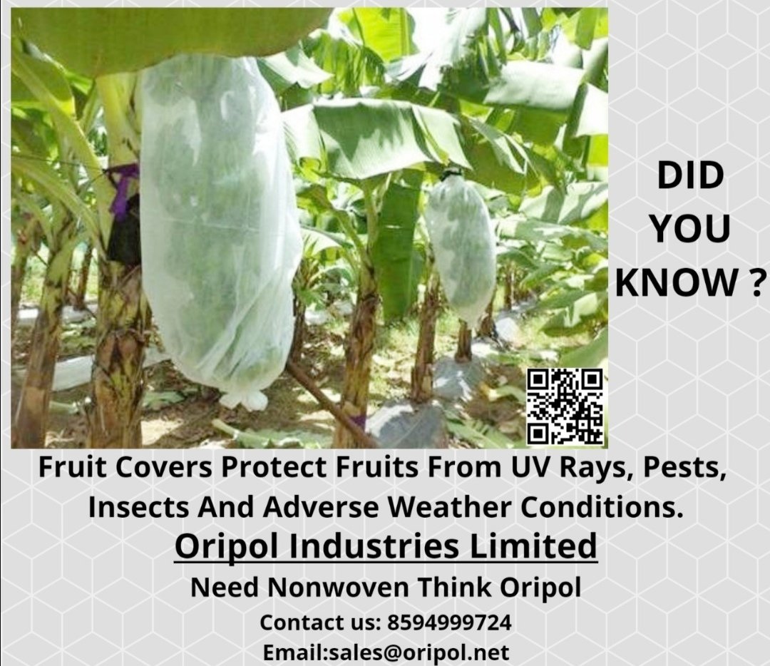 nonwovenoripol's tweet photo. #Fruit_covers_protect #fruit_from #UV_rays_pests_insects&adverse #weather_conditions.
Need #Nonwoven Think #Oripol...
#UV protected #fruitcover #healthy #protecting #greenearth #fabric #ecofriendly https://t.co/Zta63UtGt6