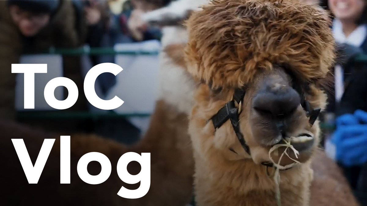 joaquin_revello's tweet photo. The 2019 ToC Vlog is out right now!! https://t.co/cqzcVjOUBG #spreadthepwaa #wsc #toc2019 https://t.co/R2hY81DhE5