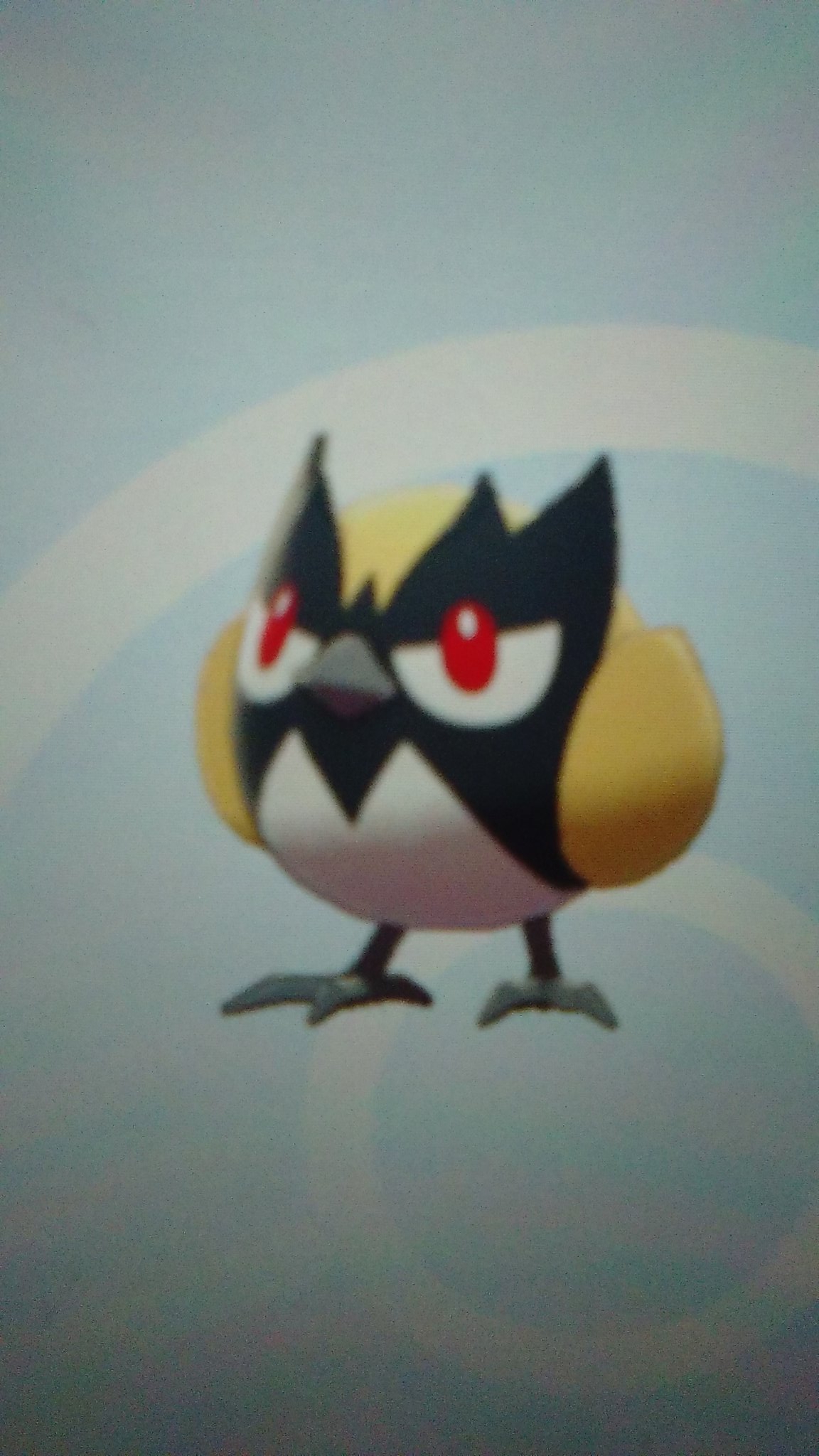 フカマル教 Twitter Search Twitter