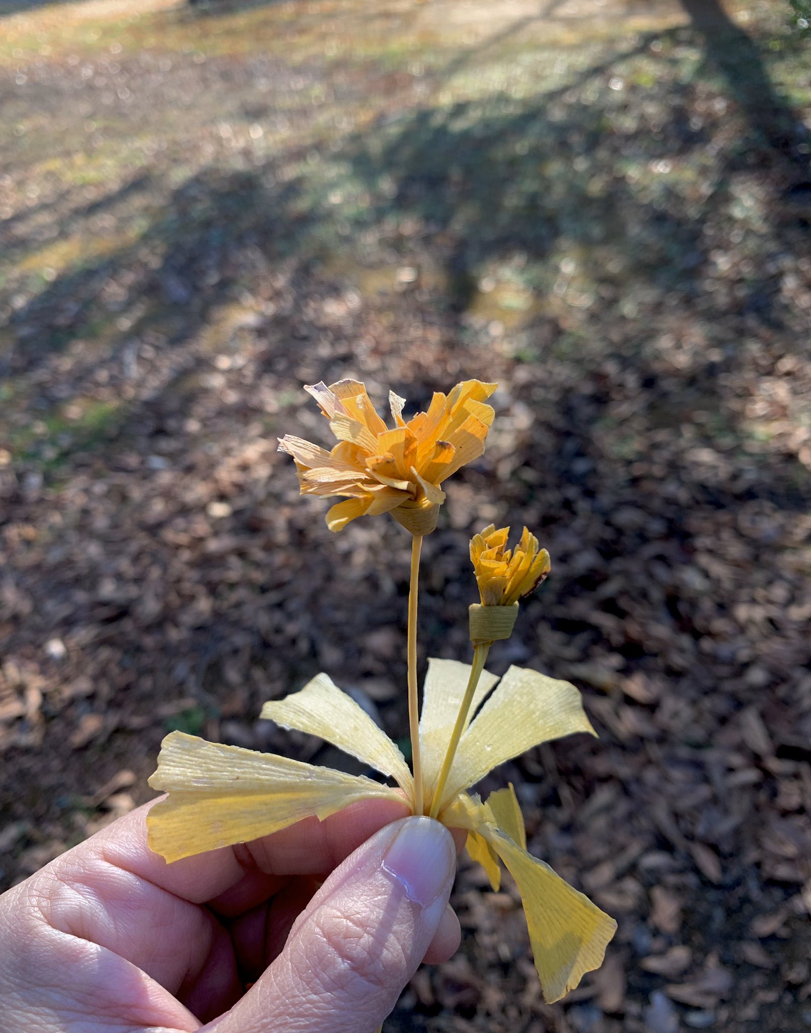 Inori イチョウでタンポポを作りました 面積の広いイチョウ の葉を使います 半分に折り更に蛇腹に折り 葉の下の方をもみもみ 柄ではなく葉でひと結びします 花びらは短くても大丈夫なのでガクをしっかり作ります 花弁 を割いてタンポポの花です 緑っ