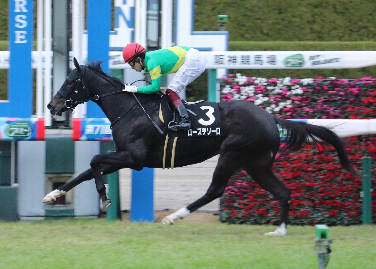 【撮って出し】
2019/12/14（土）
阪神１０Ｒ蛍池特別（３歳以上２勝クラス・牝）・芝2000
勝ったのは #ローズテソーロ。
馬主は了徳寺健二ホールディングス（株）。
生産は新ひだか：幌村牧場。
鞍上は福永祐一騎手。
美浦・金成貴史厩舎。