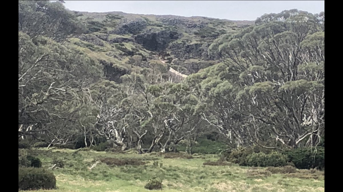 Classic Aussie Alpine hut Wallace’s Hut, the stylish outhouse, the snow patch in the gully up the hill and the view far below  #AAWT