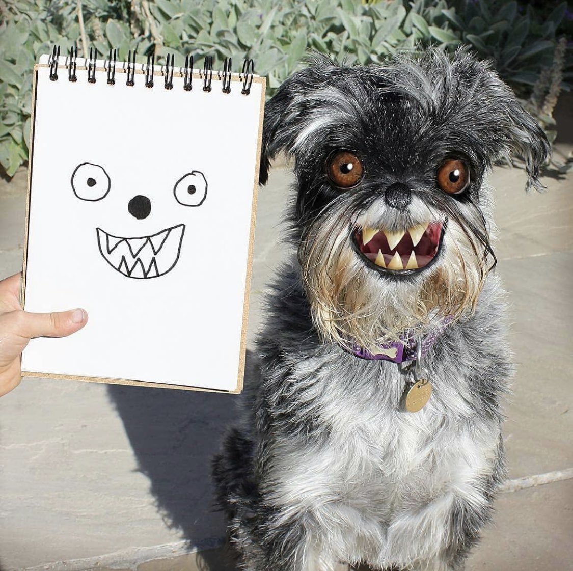 子どもが描いた絵をお父さんがリアルな動物に再現したらこうなった 腹痛い 笑 夢に出るやつだこれ Togetter