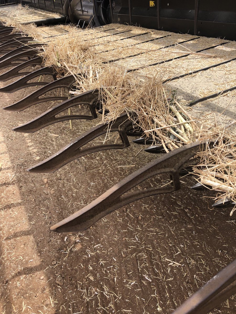 Simon Wheare tweet media