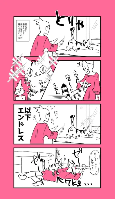 猫の要求には逆らえない 