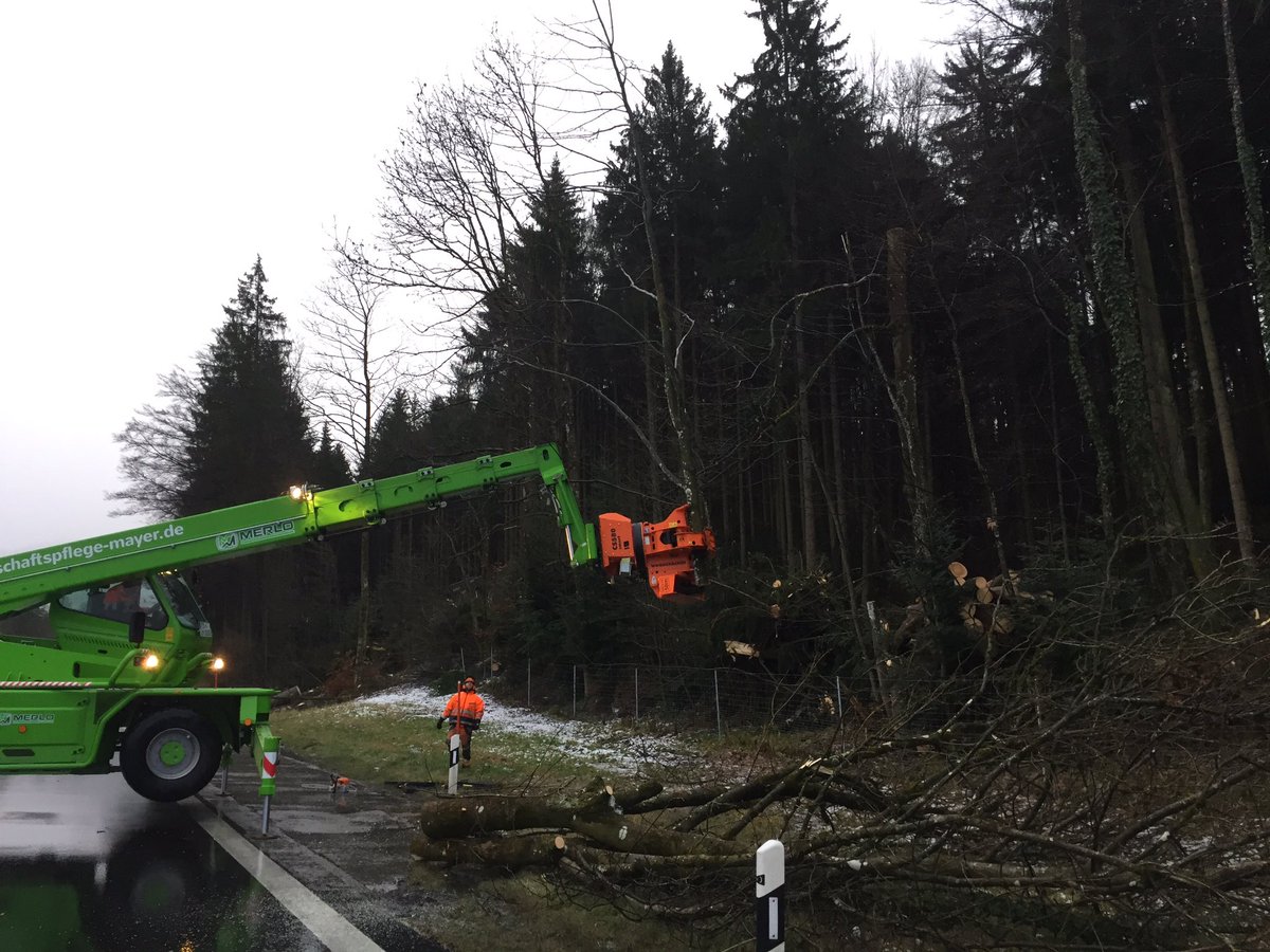 Seltener Anbick: beidseitig keine Fahrzeuge! Gesperrte A8 zwischen Siegsdorf und Bad Reichenhall wegen Baumfällarbeiten! <a href="/BR_Oberbayern/">BR_Oberbayern</a> <a href="/BR24/">BR24</a>