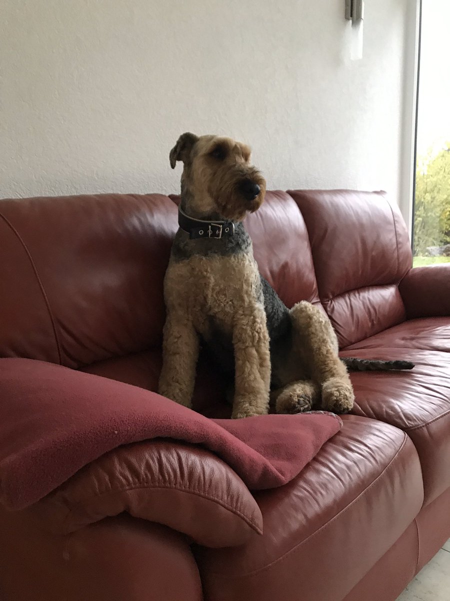 Jörg Prophet tweet media