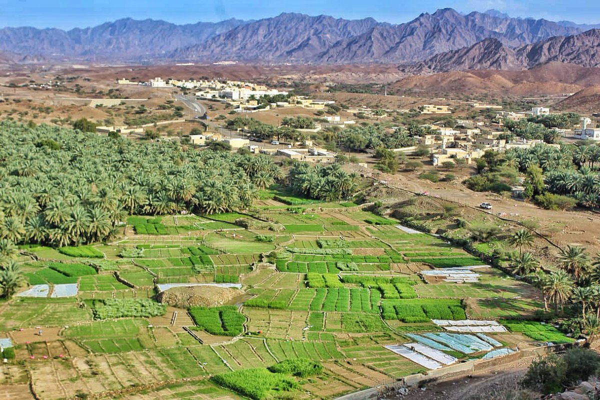 alsaadi_9889's tweet photo. قرية #قميراء شمال ولاية #ضنك 
@Metar_Oman 
@Dhahirahtourism 
@Radar_center https://t.co/kcPvTSqfJS