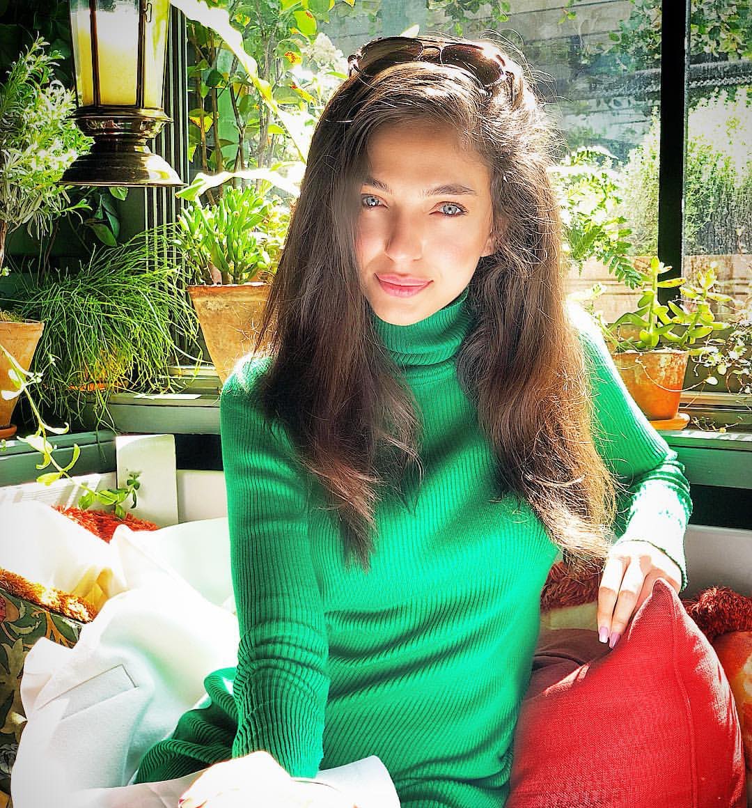 DizilandBaba tweet media