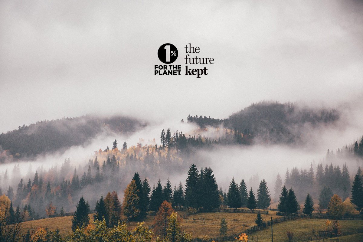 The Future Kept tweet media