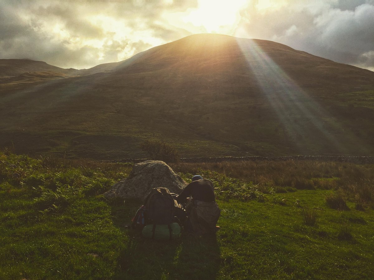 D. Butler tweet media