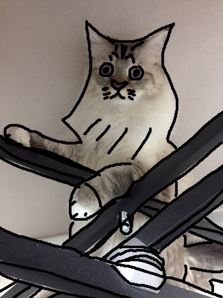 Lockdown tweet media