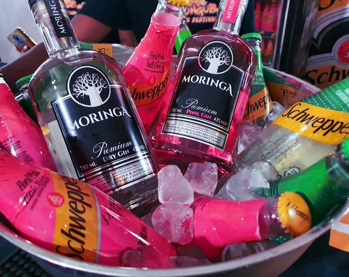 Moringa Gin tweet media