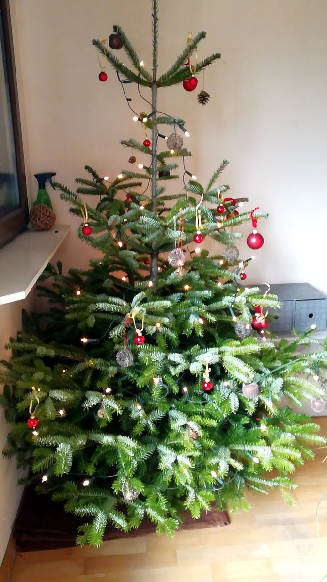 esch_uli's tweet photo. Ready for Christmas 🌲 https://t.co/UtCf55Z4aW
