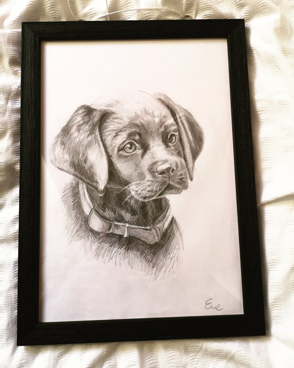 _Ewelisa_'s tweet photo. Secret Santa gift :D 

#dog #secretsanta #frame #art #drawing https://t.co/oOVIej7rkf