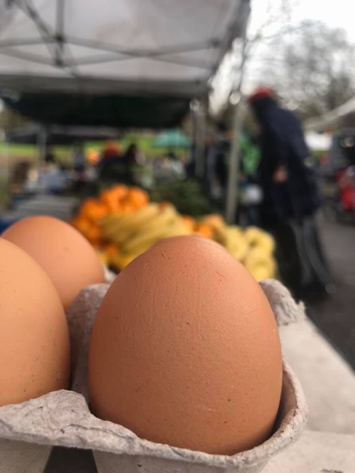 We’re open for another great weekly Market! The best place to shop. We’re open til 3pm #telegraphhill #nunhead
