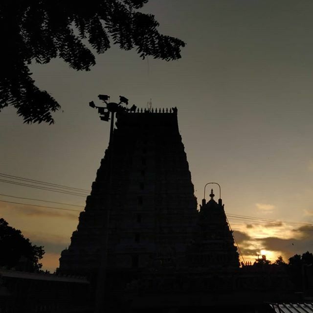 harisree_18's tweet photo. Rajagopuram during sunrise....
.
.
#arulmiguarunachaleswarartemple #arunachaleswarar #templesoftamilnadu #traditionalarchitecture #sunrise #rajagopuram #incredibleindia #gloryofbharat #indiancontents #indiapictures #indiacaptures_ #_coi #thisismyindia https://t.co/xjkC325Wk7 https://t.co/SZeCISvUYy