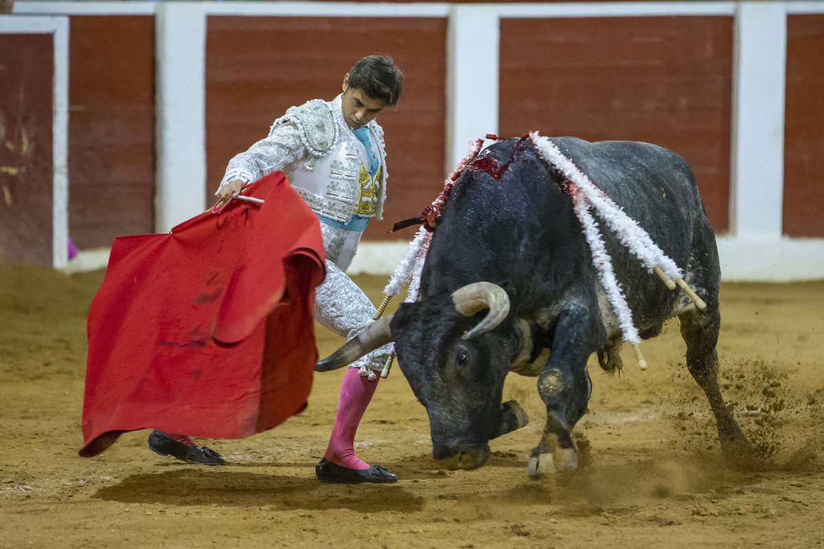 🔴 #Entrevista La temporada 2019 de Fran Ferrer
“HE APRENDIDO A QUE HAY QUE ESTAR PREPARADO PARA TODO Y SEGUIR CON LA MISMA ILUSIÓN”
El novillero con picadores murciano repasa su año con la vista puesta en una futura presentación en Madrid en 2020...
➡️ elmuletazo.com/2019/12/14/la-…