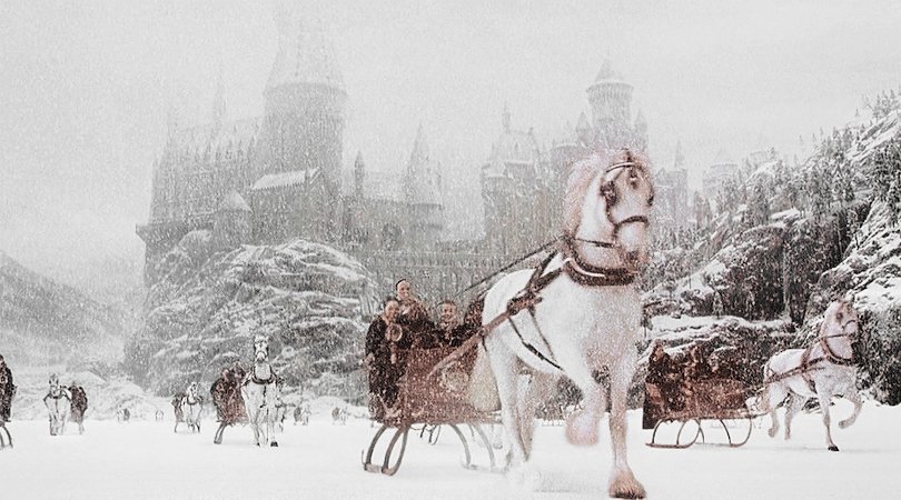 Admítelo, a ti también te gustaría pasar un invierno en Hogwarts ⚡️