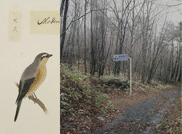 TheEriskayConnection tweet media