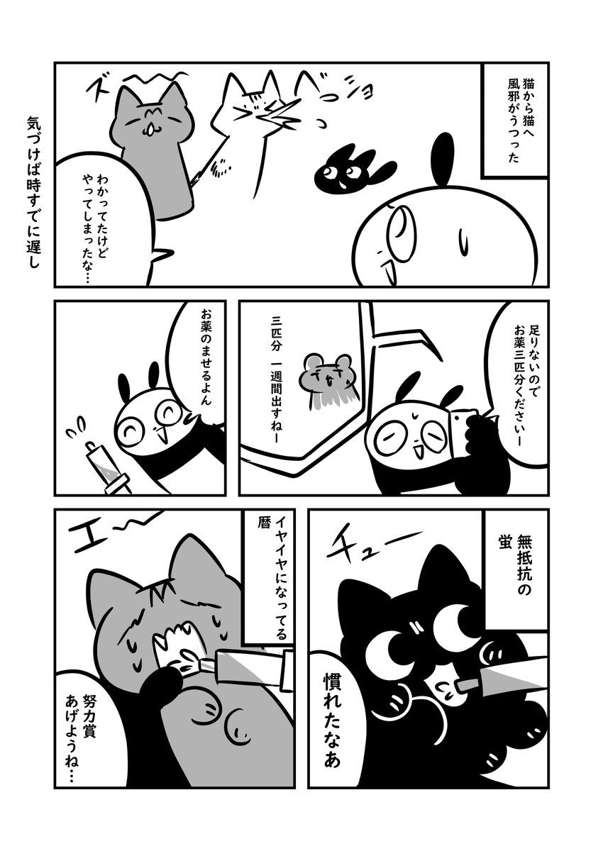 子猫から風邪が集団感染 なお蛍はもう治りかけです #ぬら次郎日記 