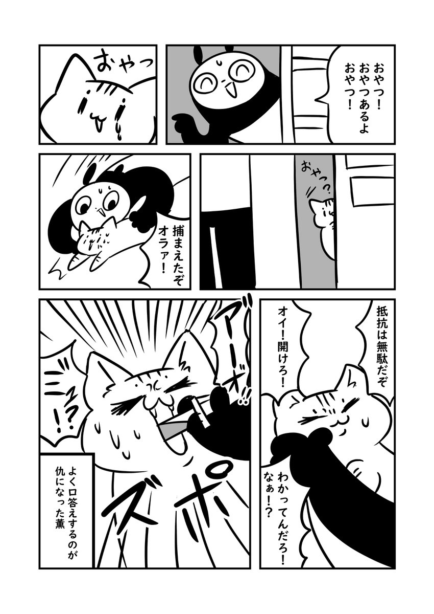 子猫から風邪が集団感染 なお蛍はもう治りかけです #ぬら次郎日記 