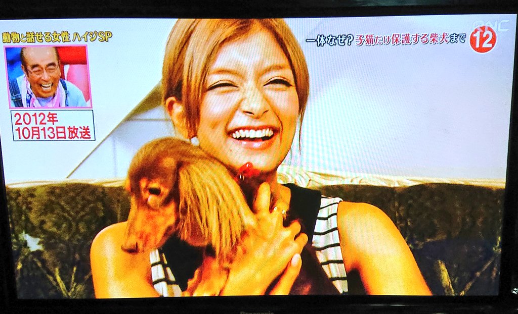 天才 志村どうぶつ園で ローラ が話題に トレンドアットtv