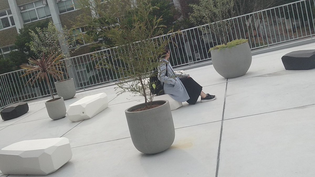 GuideYpu's tweet image. 今日は山口大学さんのてくてくツアーに参加させていただきました！
毎回コースが変わるらしく、前と違う場所も見ることができて楽しかったです✨
歩いている道中でかわいい猫さんも見かけました😊