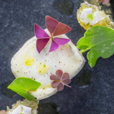 CrumbsMag's tweet photo. 📸 Our regular mag photographers know how to knock it out of the park. Here are some of their secrets 👉 https://t.co/a8fusPAkfA https://t.co/JaXCkcGTO8