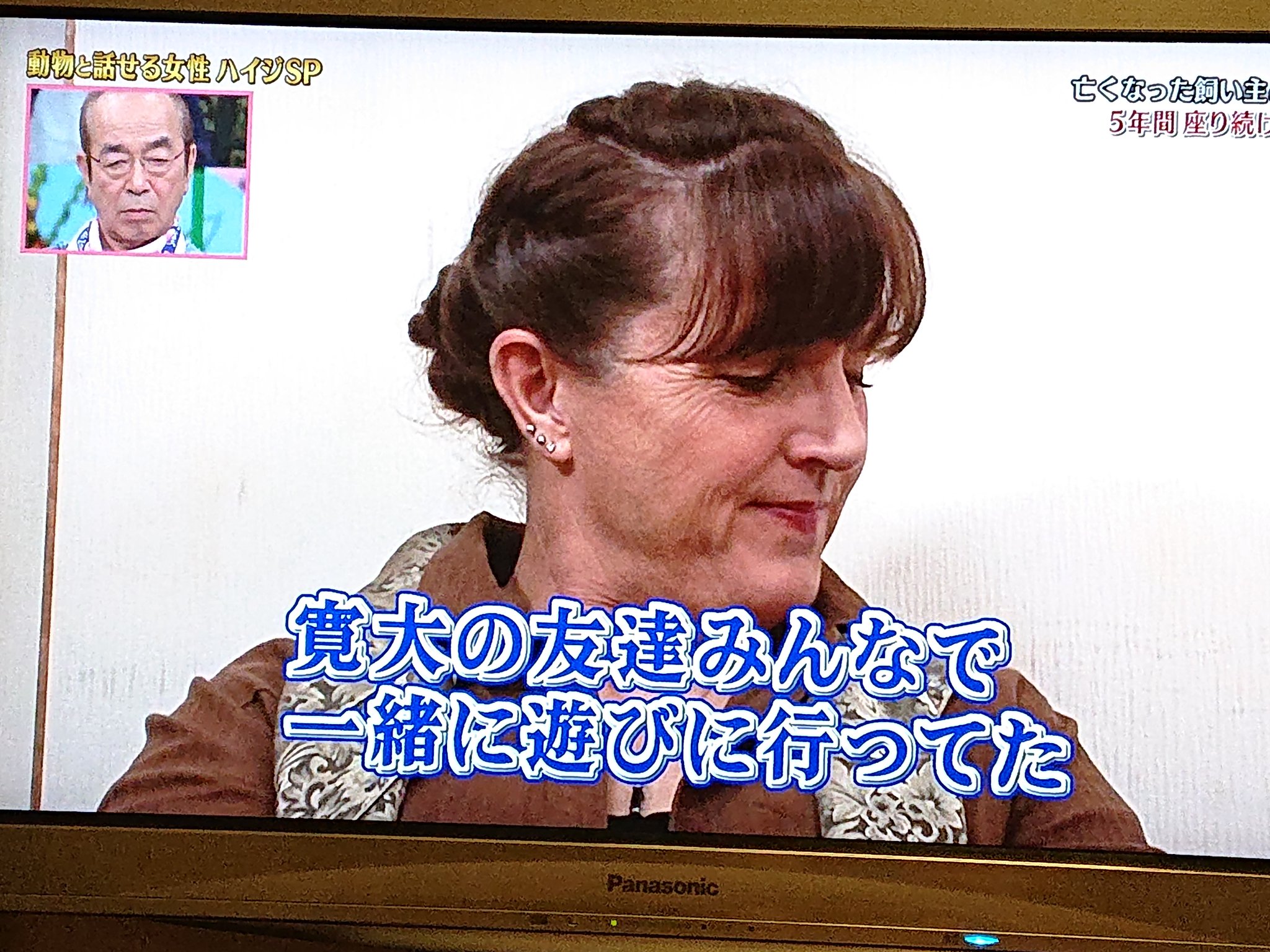 マミーチャン 不思議 志村どうぶつ園のハイジspでハイジが動物と交信してる時くぅちゃんがテレビをじっ見つめる くぅちゃんだけめっちゃハイジと受信してる T Co Qhhv3kts9i Twitter