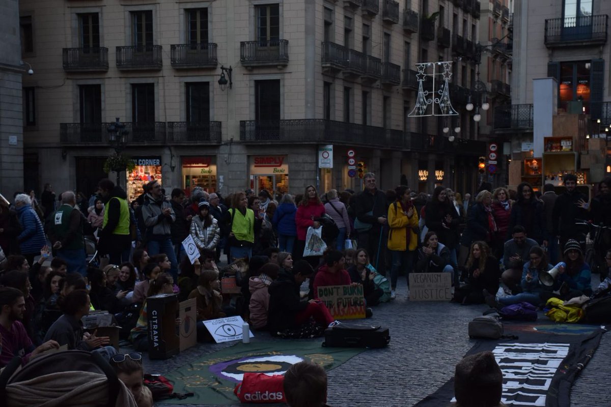 Fridays For Future Barcelona 🌱 tweet media